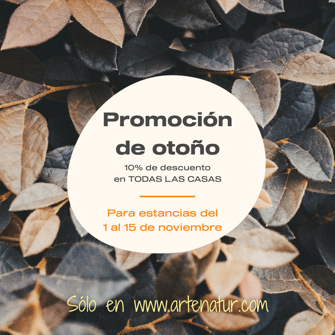 10% de descuento en los alojamientos de Gran Canaria