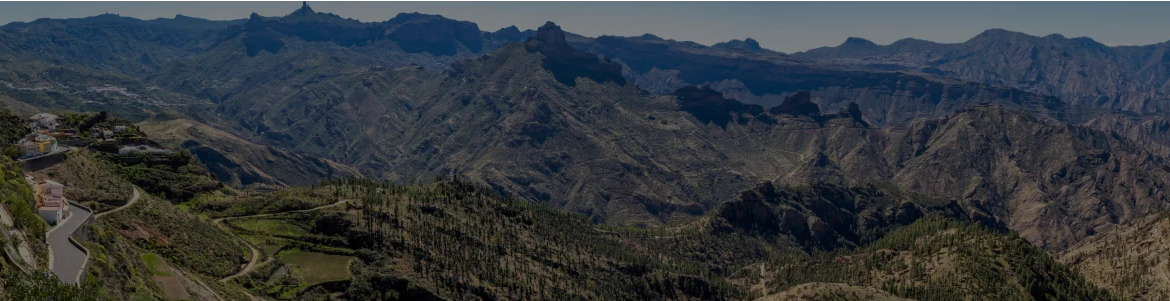 (ES) Explora la Biodiversidad de Gran Canaria: Un Viaje al Corazón de la Isla
