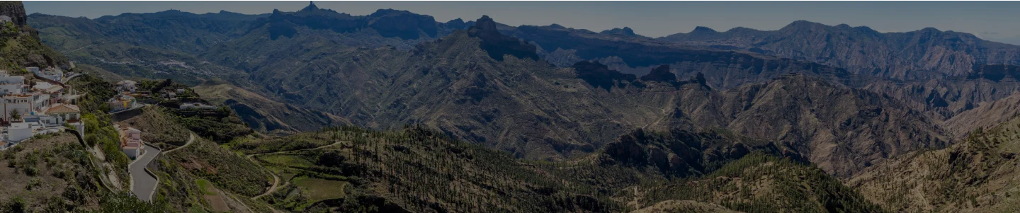 Explora la Biodiversidad de Gran Canaria: Un Viaje al Corazón de la Isla