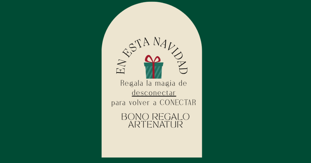Bono regalo navidad Las PALMAS